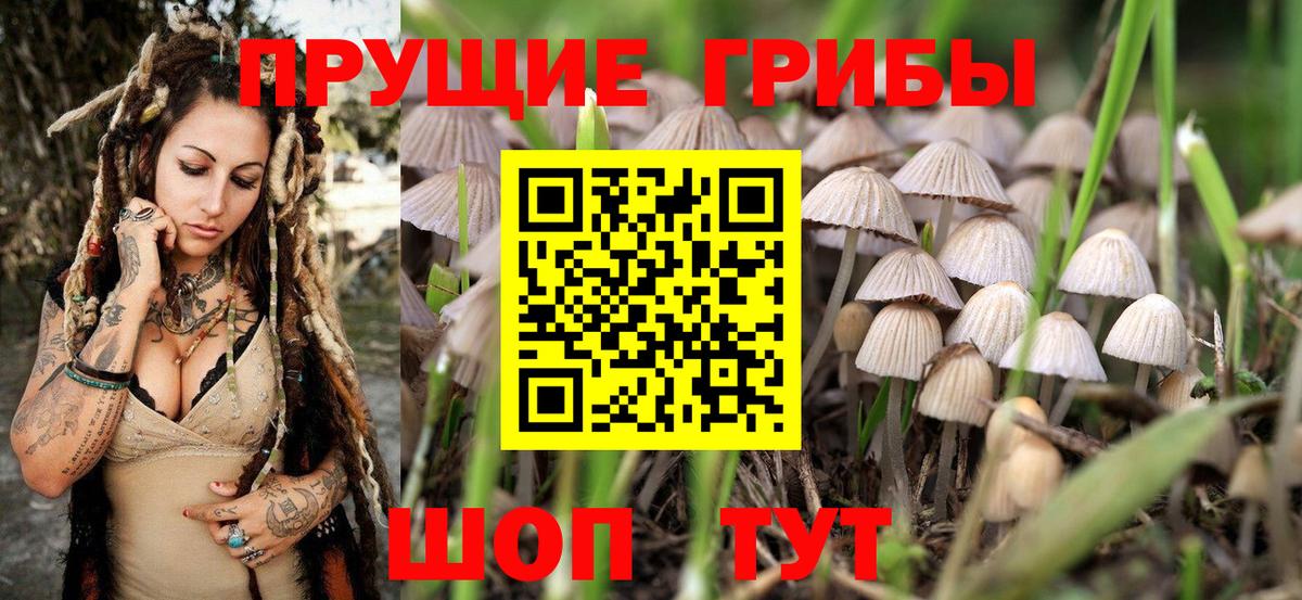 Галлюциногенные грибы мицелий Кольчугино