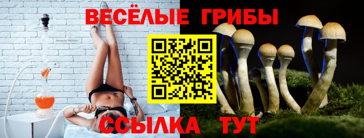Псилоцибиновые грибы мухоморы  Вход с VPN  Кольчугино  наркота  Псилоцибиновые грибы Magic Shrooms 
