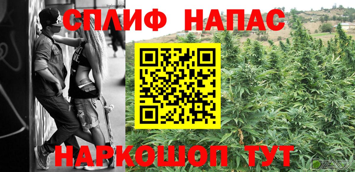 Марихуана планчик Кольчугино